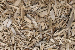 biomass boilers Dornoch